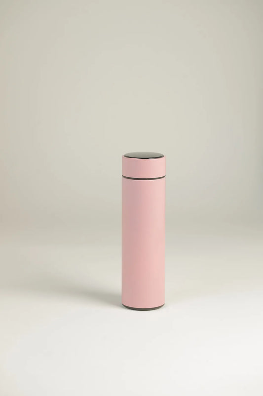 Premium Insulated Stainless Steel Bottle | PallyWear